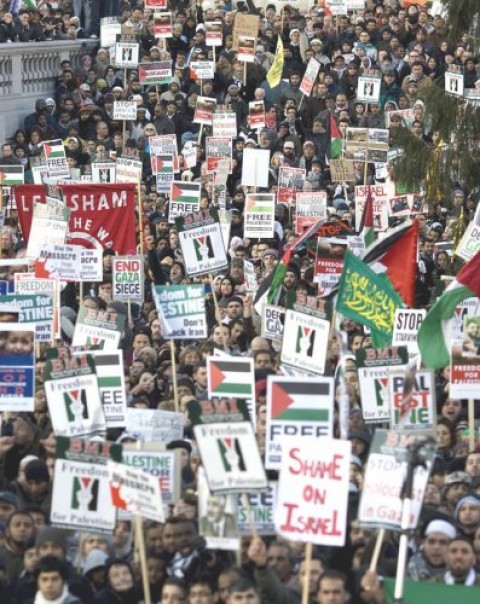 worldwide-protests-israeli-offensive-continue-1324320096