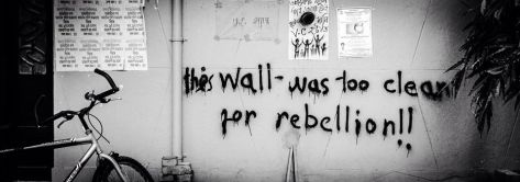 10653763_10204068806633099_8258074014021006461_n