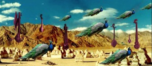 Peacocks-300x132
