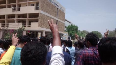 11019548_10152694076845870_5299594296544608541_n