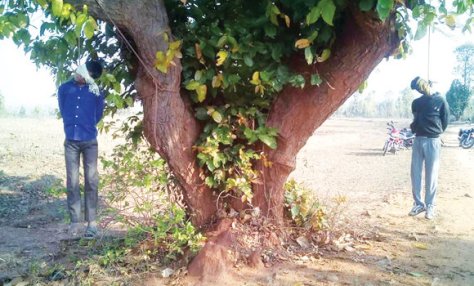 file-19-1458409803749044900